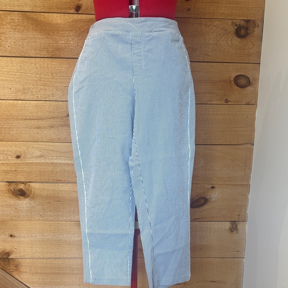 Tribal Light Blue Pinstripe Crop Pants